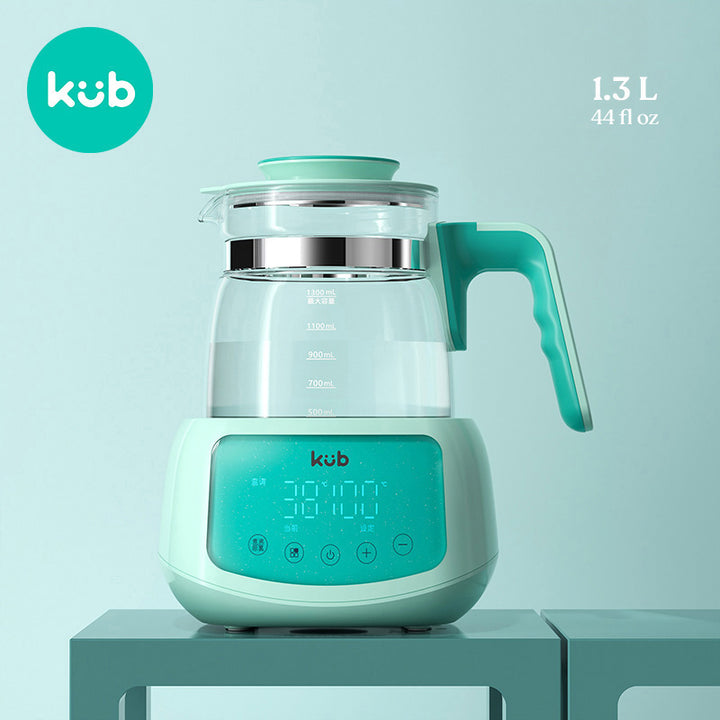 Electric Kettle with Temperature Control